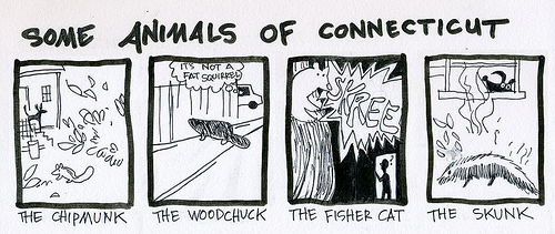 Comic: Some Animals of Connecticut